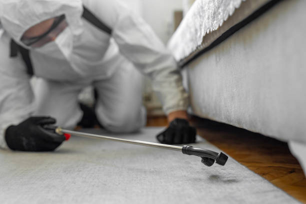 Professional Termite Control technician working in Prince George's County County, MD
